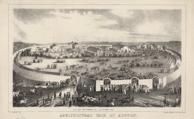 Agricultural Fair at Auburn, litho by G. and W. Endicott by George T. Sanford